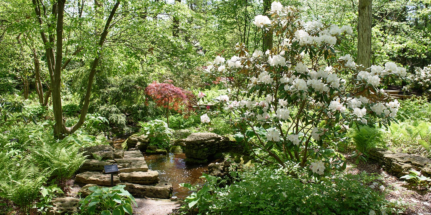 Toledo Botanical Gardens Metropark