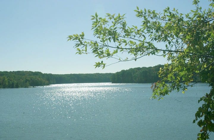 Sunlight glinting on Alum Creek Lake, framed by green leaves and a wooded far shore