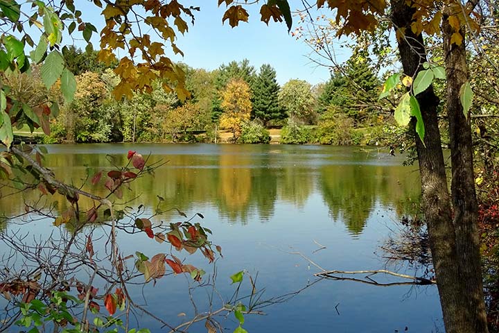 Alum Creek State Park