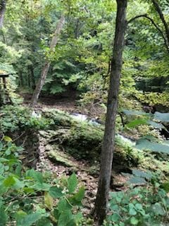 John Bryan State Park / Clifton Gorge scenery