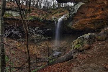 Salt Fork State Park trail or shoreline
