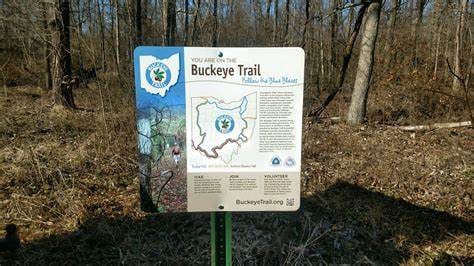 Salt Fork State Park woods or lake