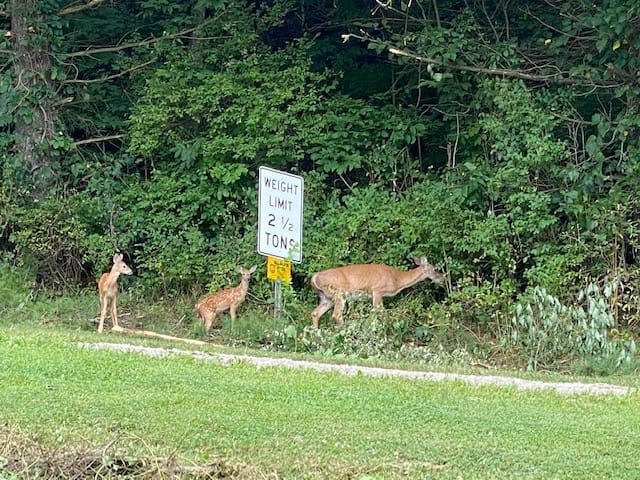 Salt Fork State Park photo