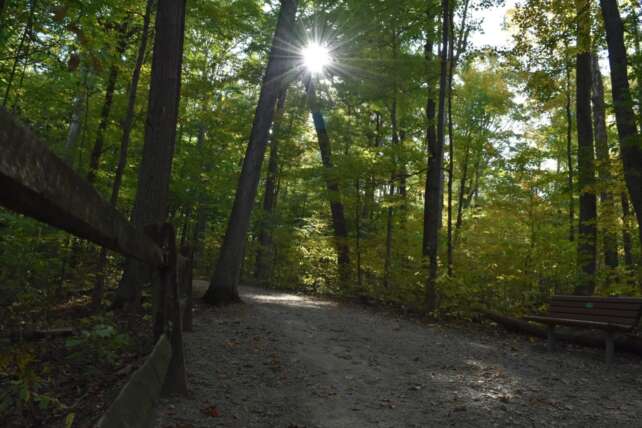Blendon Woods Metro Park