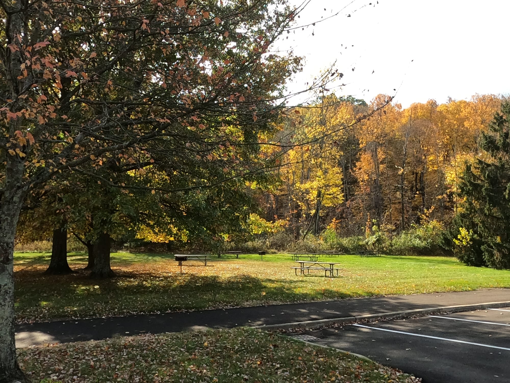 Chestnut Ridge Metro Park