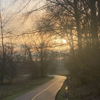 The paved multipurpose trail curving through bare trees toward a low sun
