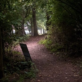 A leaf-covered dirt path leading into dark green woods past a small trail sign