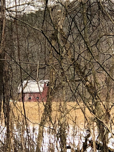 A red barn seen through a screen of bare trees across an open field