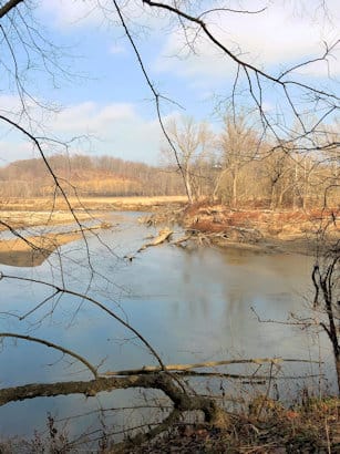 A wide view of the river bordered by bare trees and a fallen log along the bank