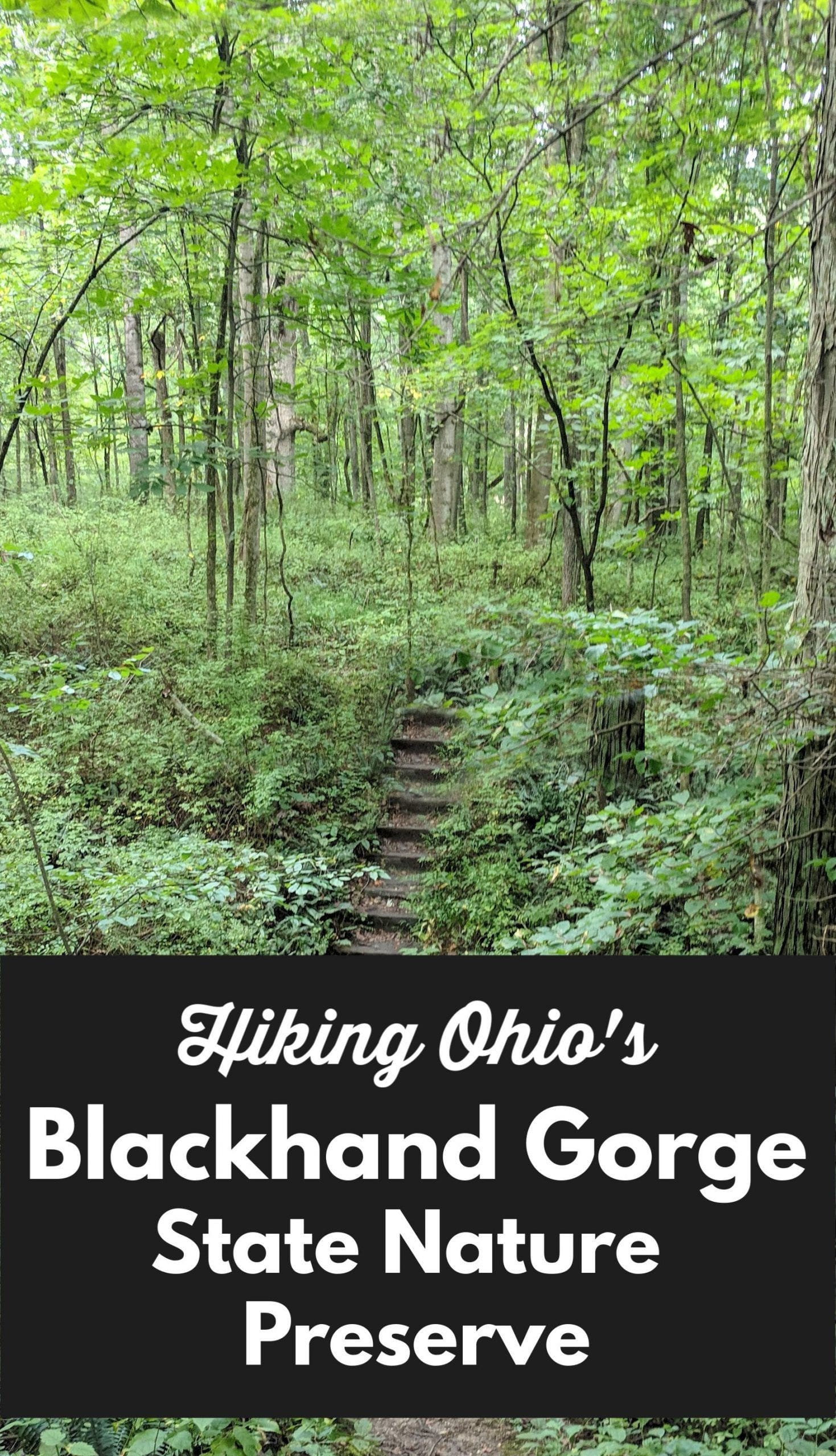 Blackhand Gorge State Nature Preserve