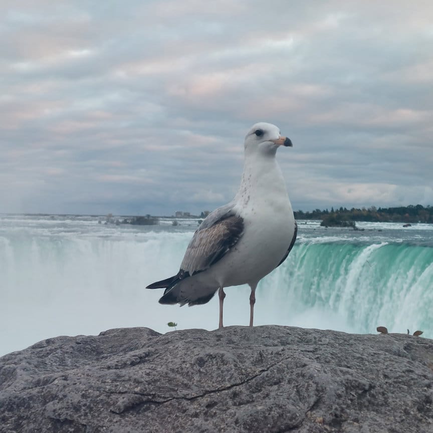 Waterfalls 2023