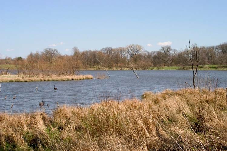 Pickerington Ponds Metro Park and State Nature Preserve
