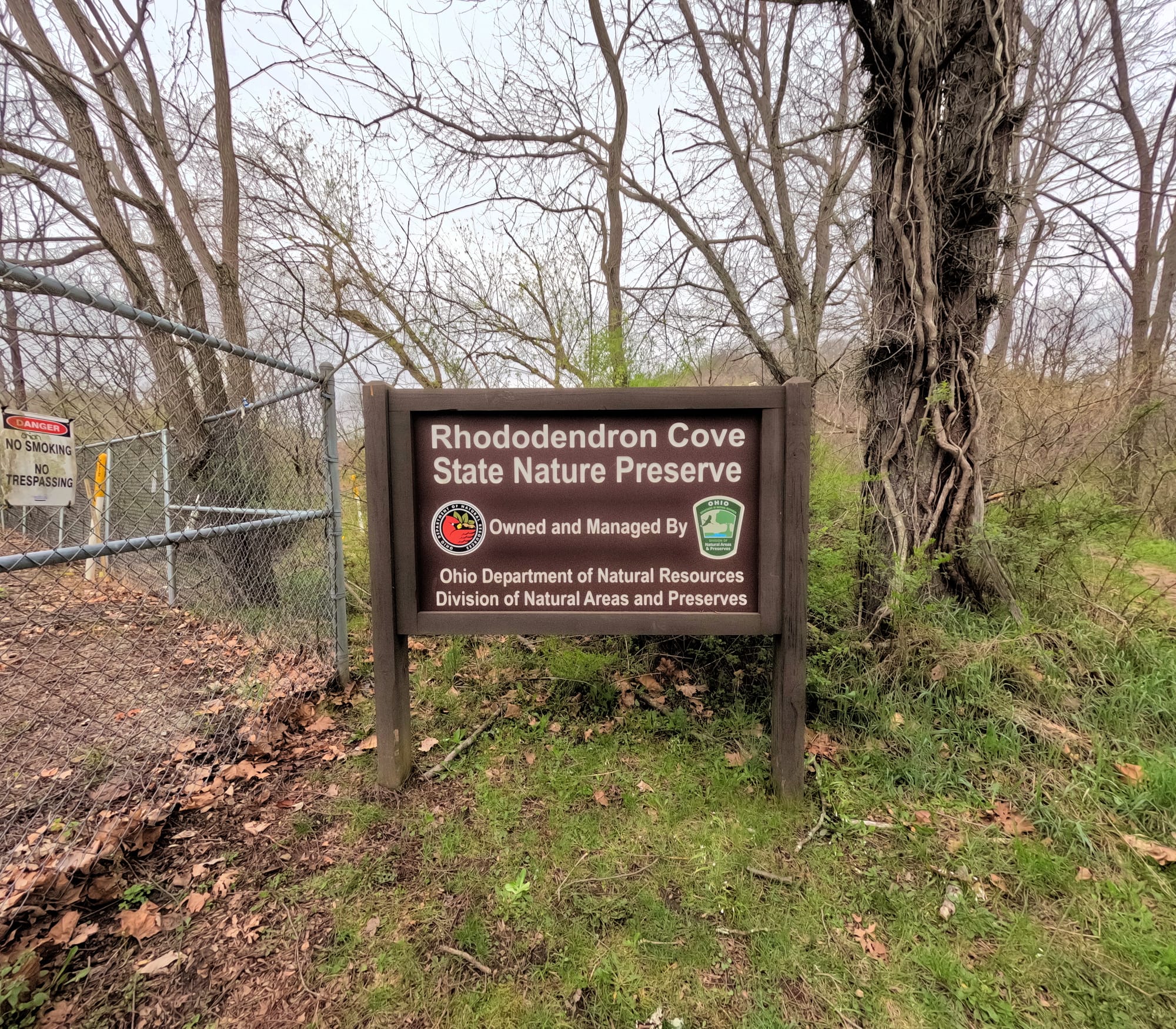 Rhododendron Cove State Nature Preserve