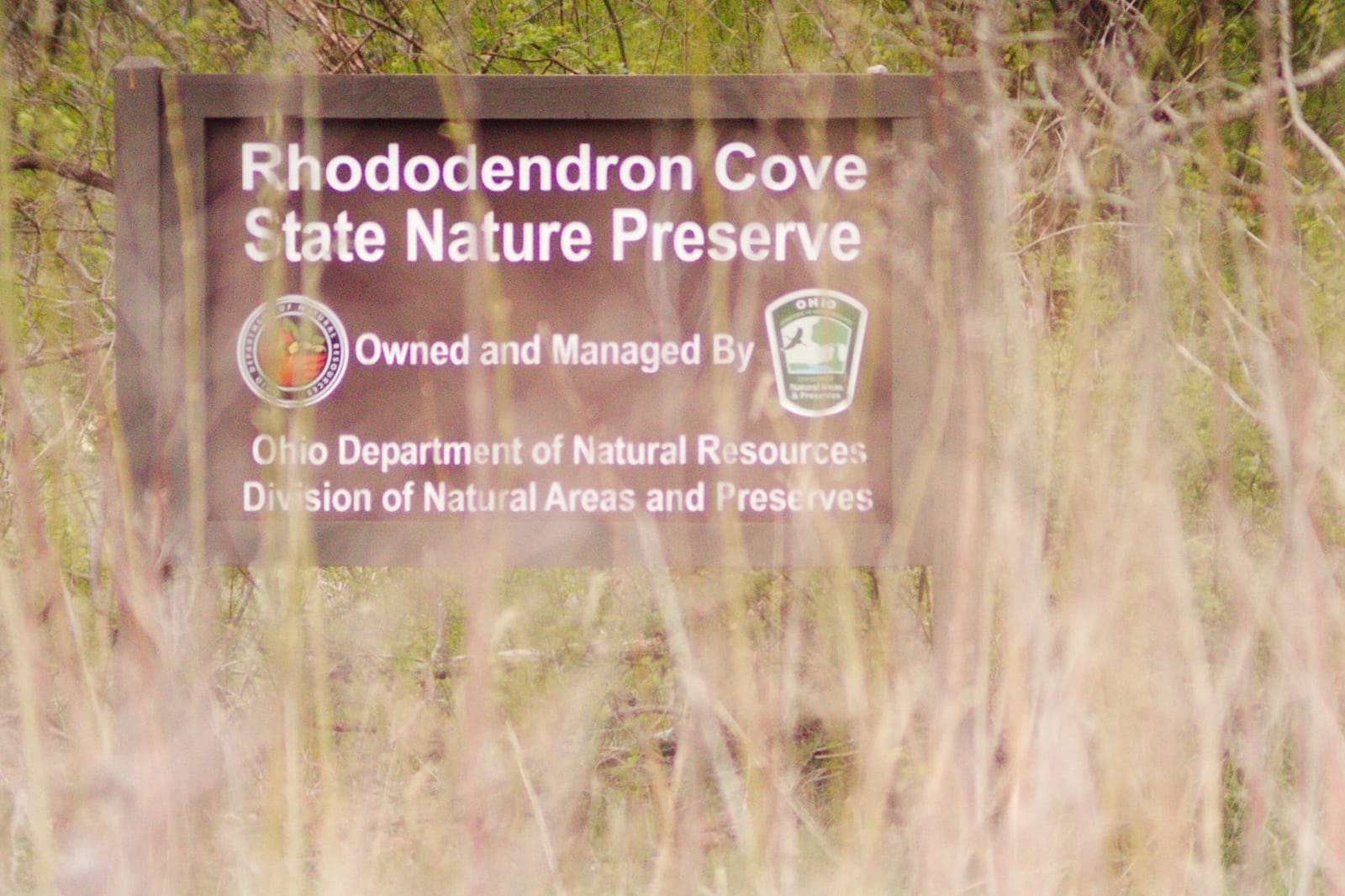 Rhododendron Cove State Nature Preserve, Hocking County, Ohio