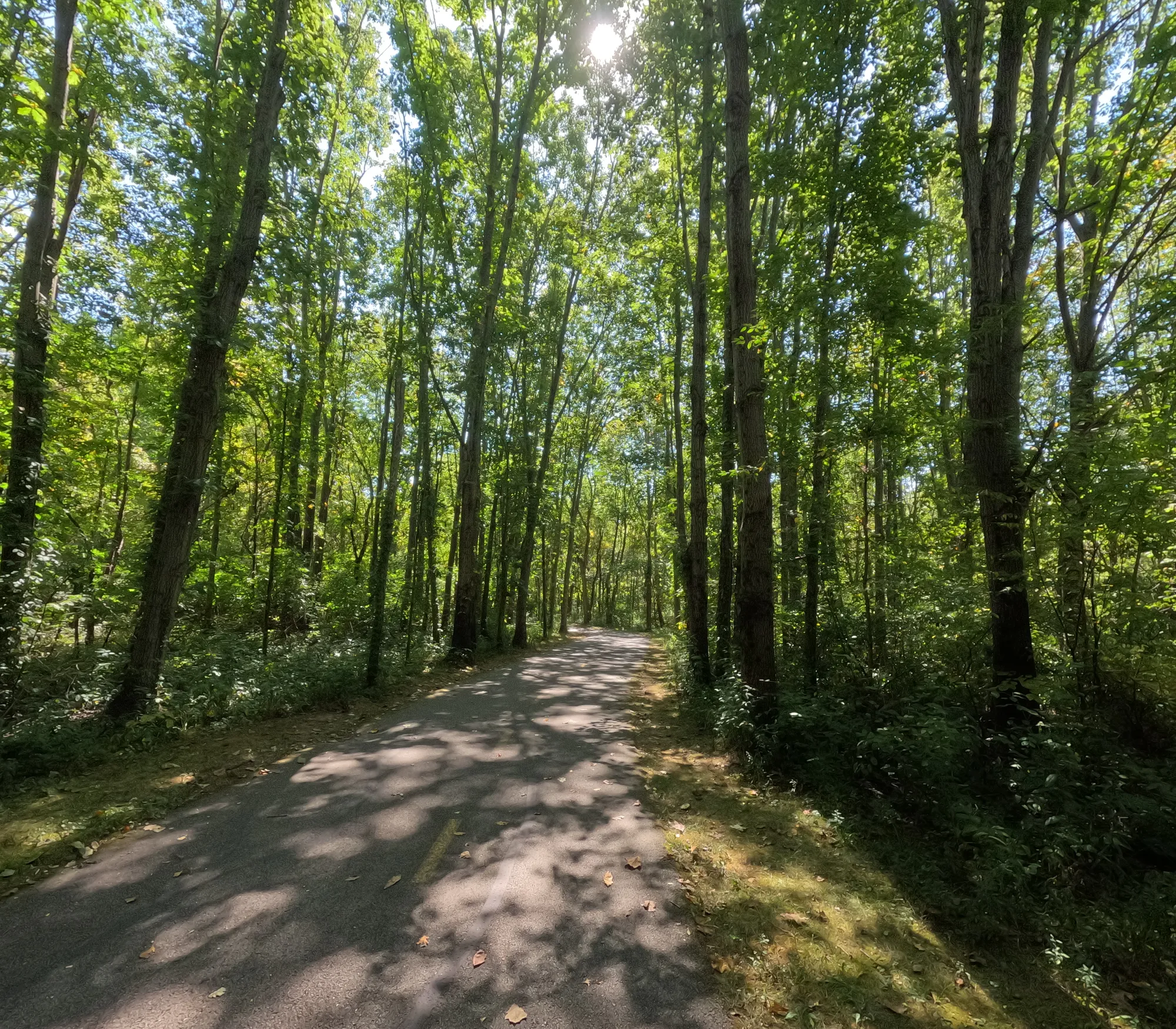 Walnut Woods Metro Park