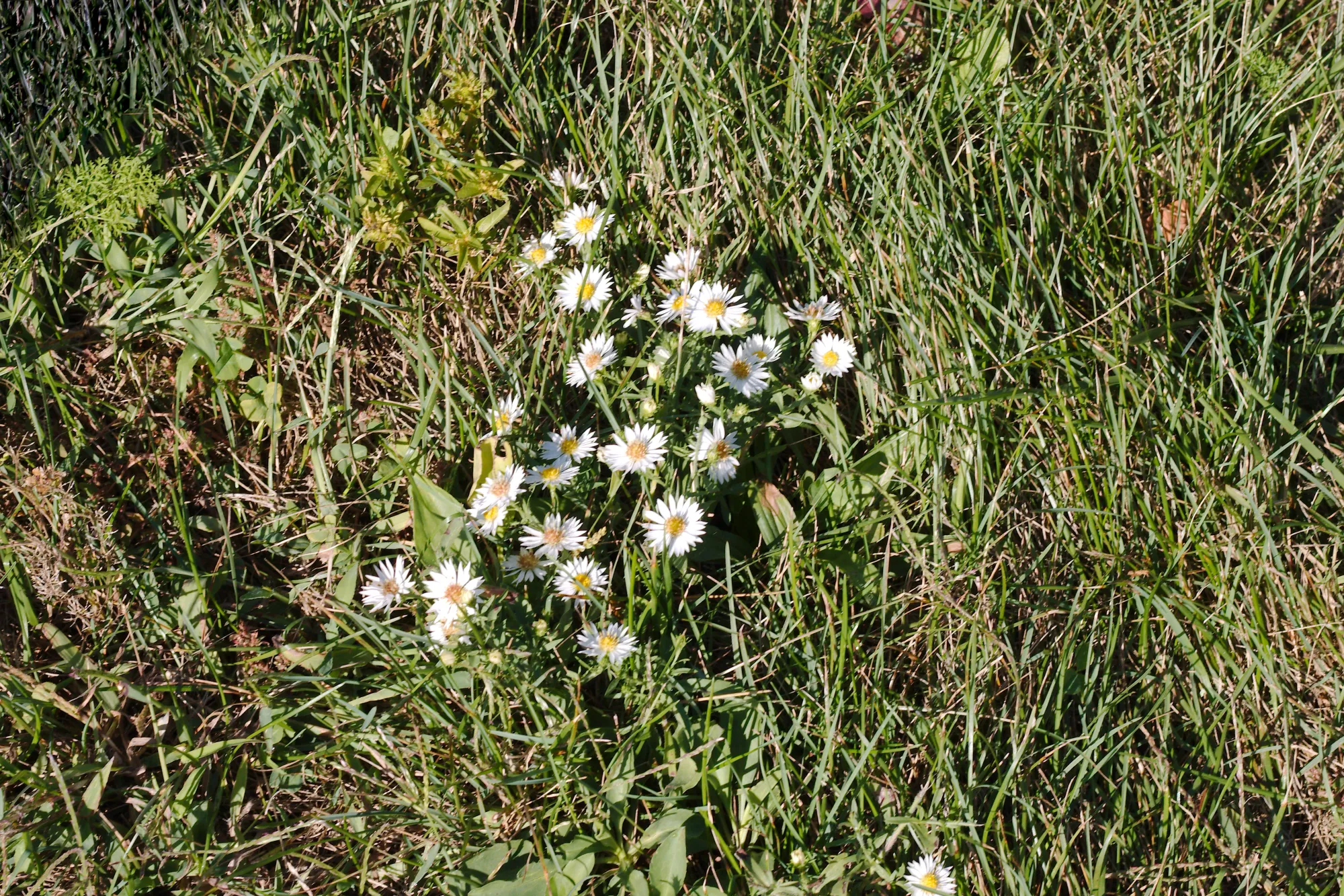 IMG_7171 -1.webp