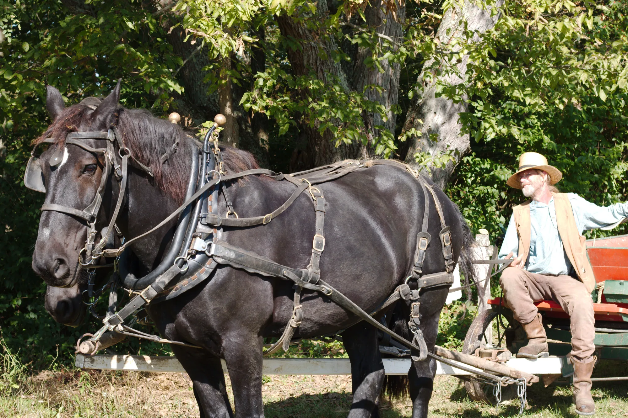 IMG_7164 -1.webp