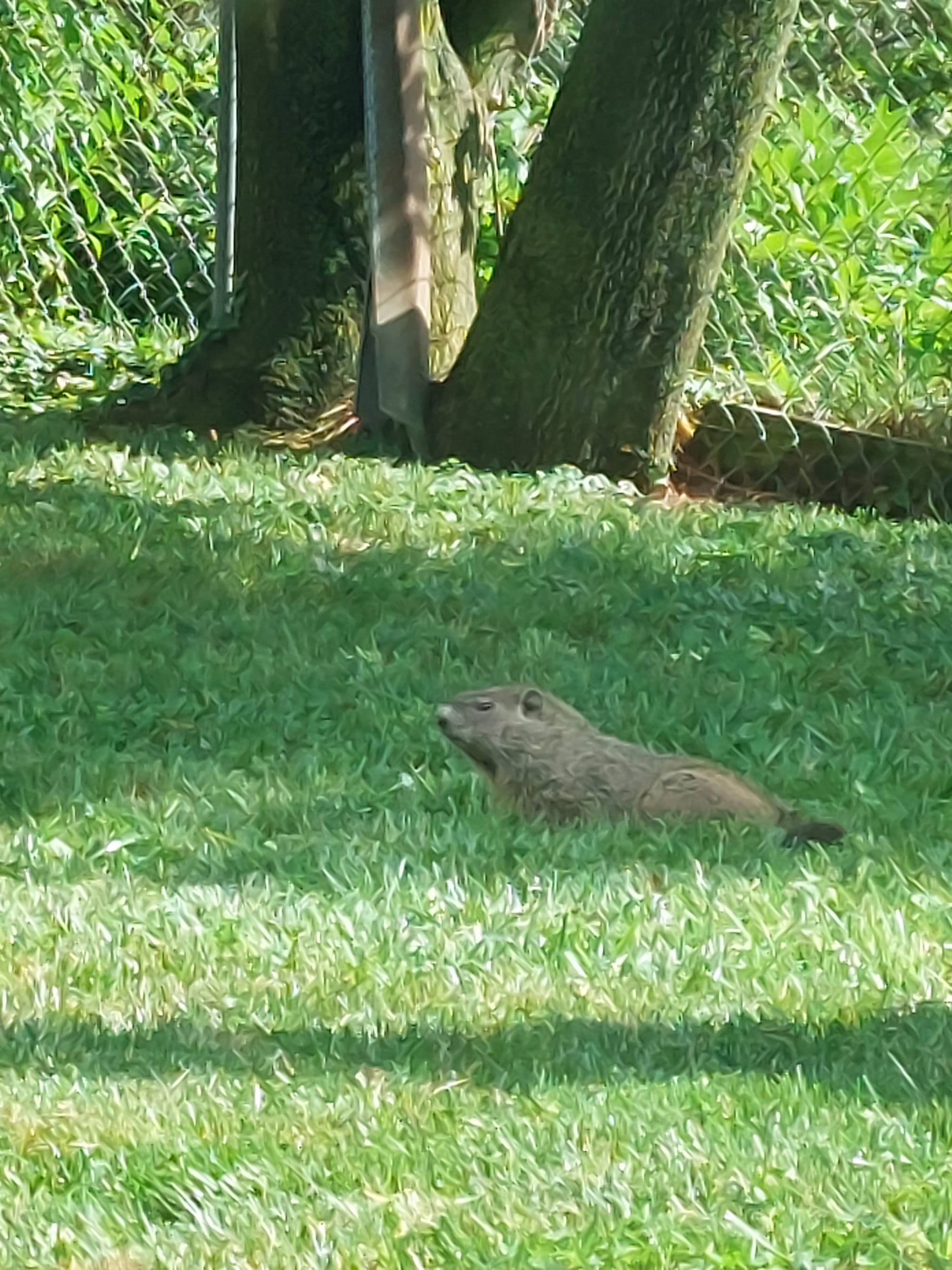 Lori Jordan's cover image