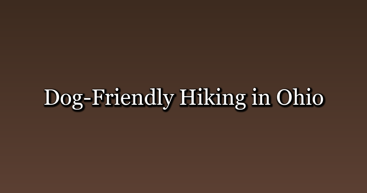 Dog-Friendly Hiking Trails in Ohio: 10 Tested Favorites