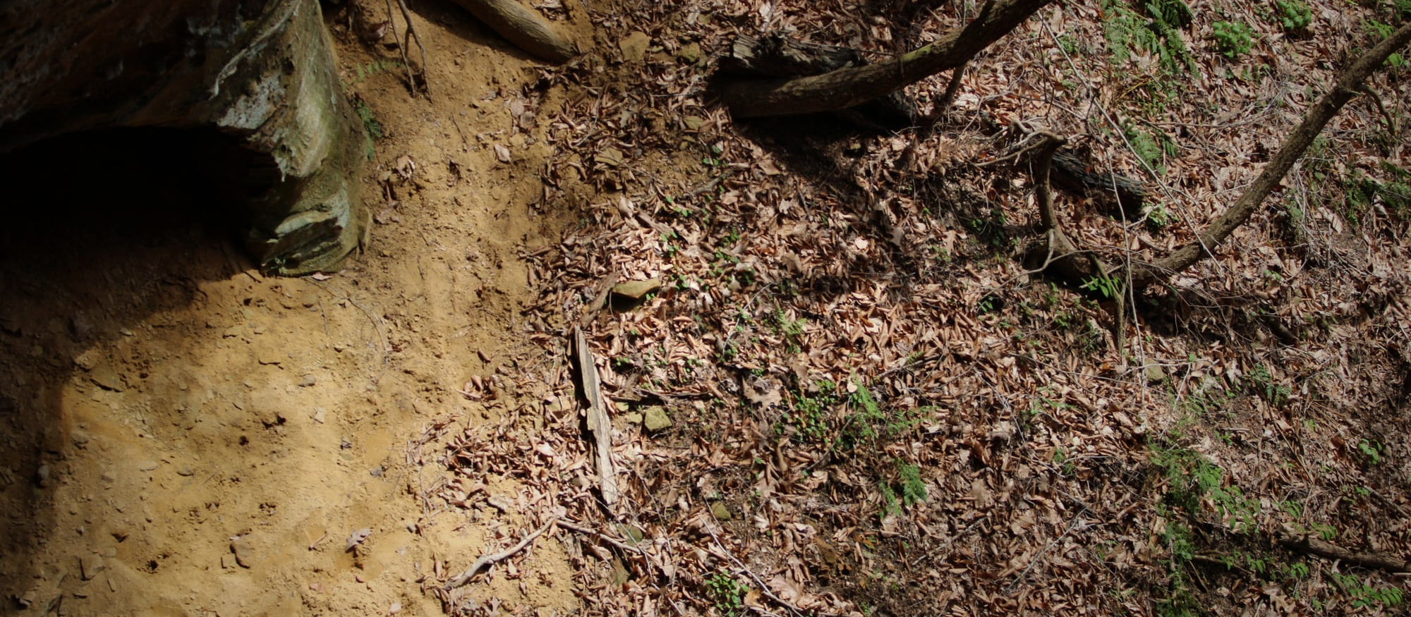 Sandstone cave overhang with rock cairns in Hocking Hills State Park