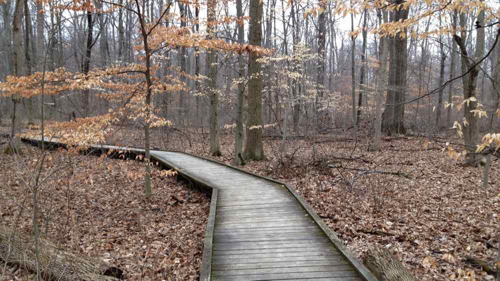 Best Hikes Near Columbus, Ohio — Ohio hiking trails
