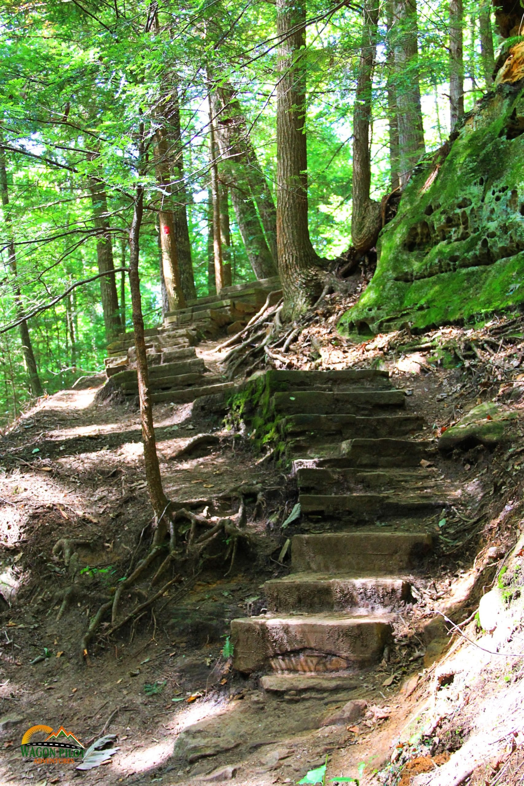 Cantwell Cliffs sandstone cliffs in Hocking Hills