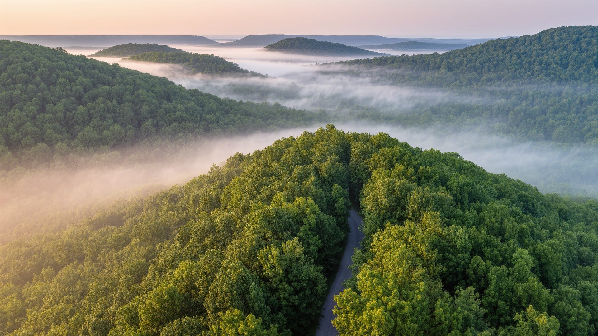 Wayne National Forest: Ohio's Only National Forest
