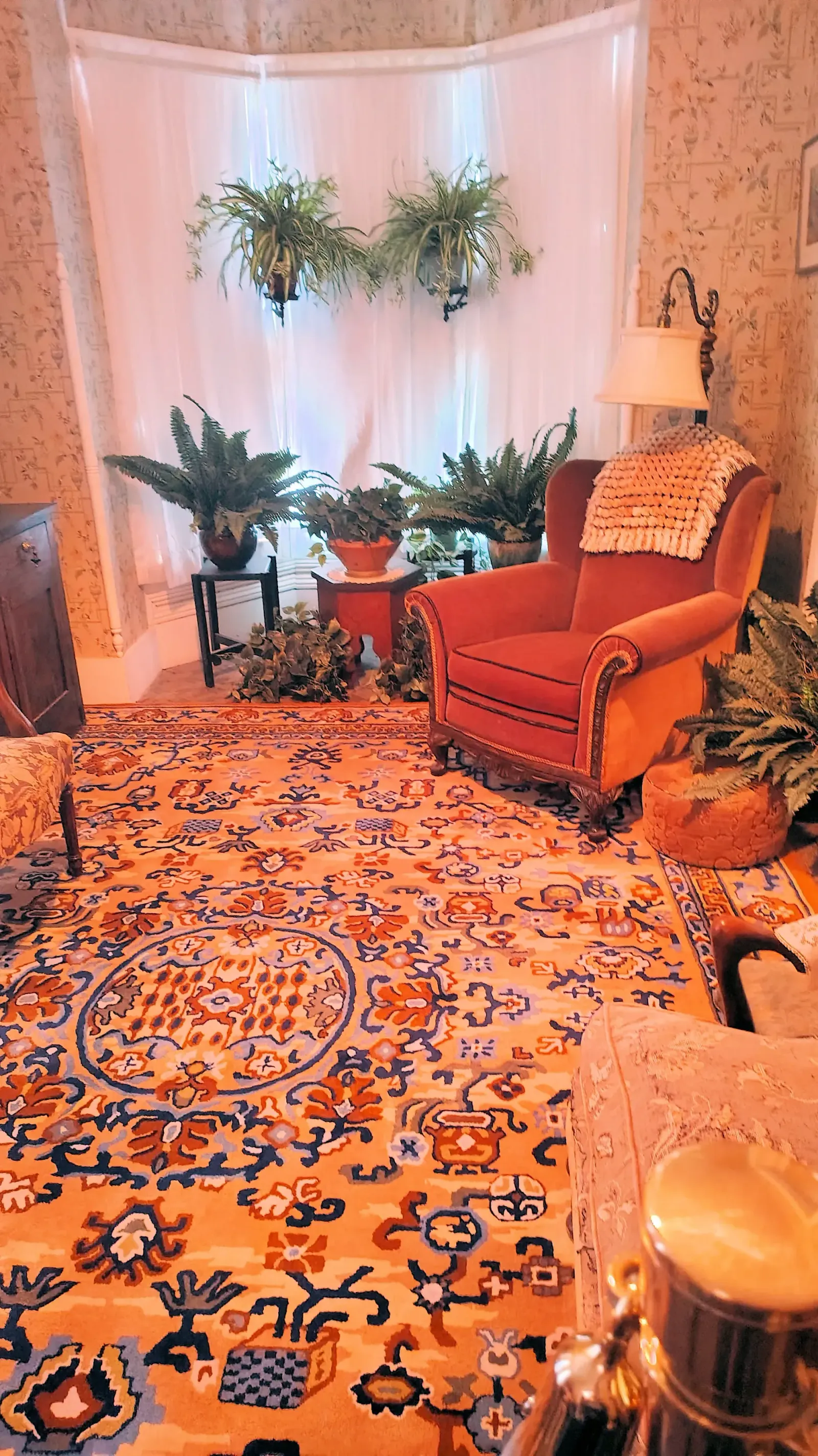 Living room with an orange armchair, patterned rug, and houseplants