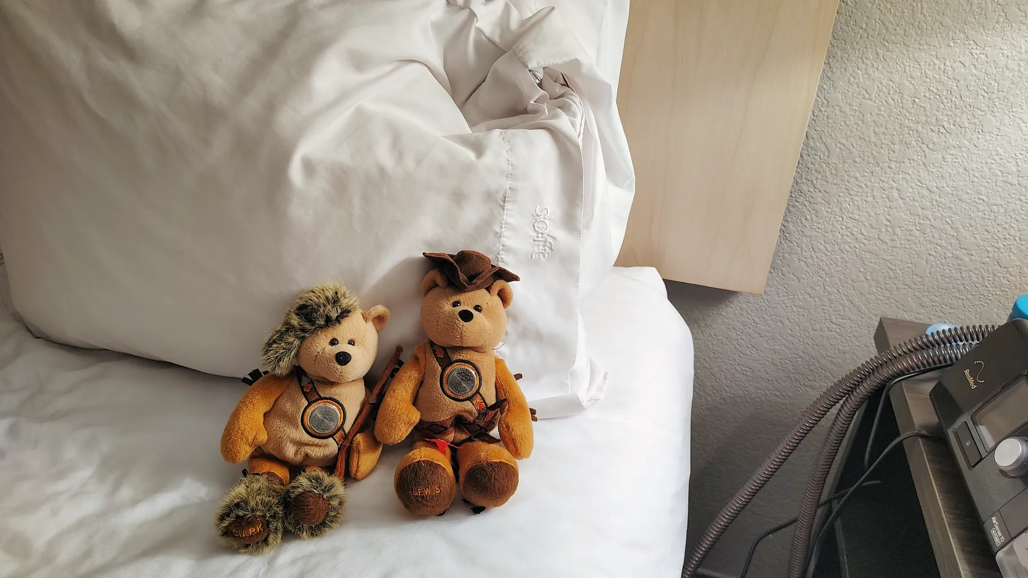 Two travel teddy bears sitting on white hotel pillows