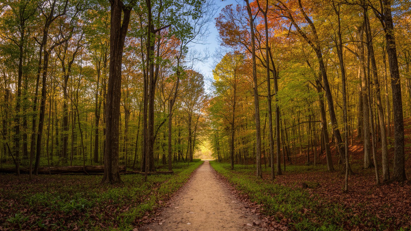 What to Pack for an Ohio Day Hike: A Tested Gear Checklist